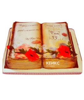 Торт книга жизни 1